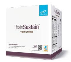 Brain Sustain Creamy Chocolate